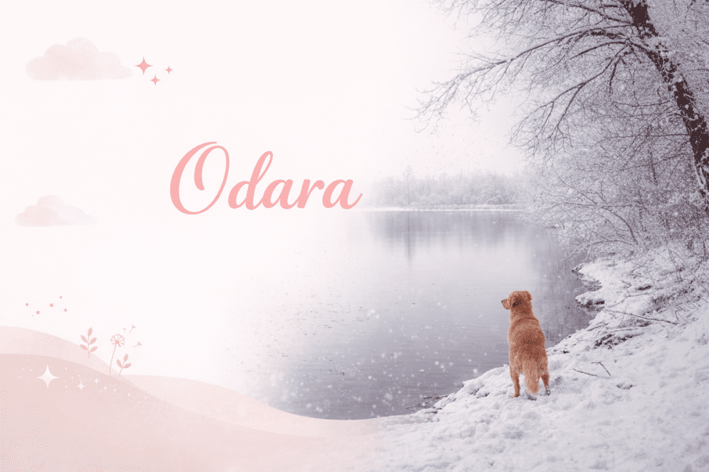 Portrait de l'artiste Odara et de son fidèle chien protecteur, créateurs de l'univers Odara Art.